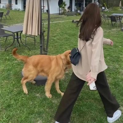 一代侠女 海报